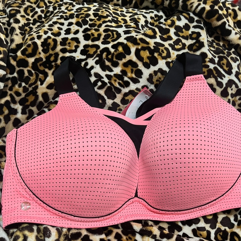 Lane Bryant LiVi
